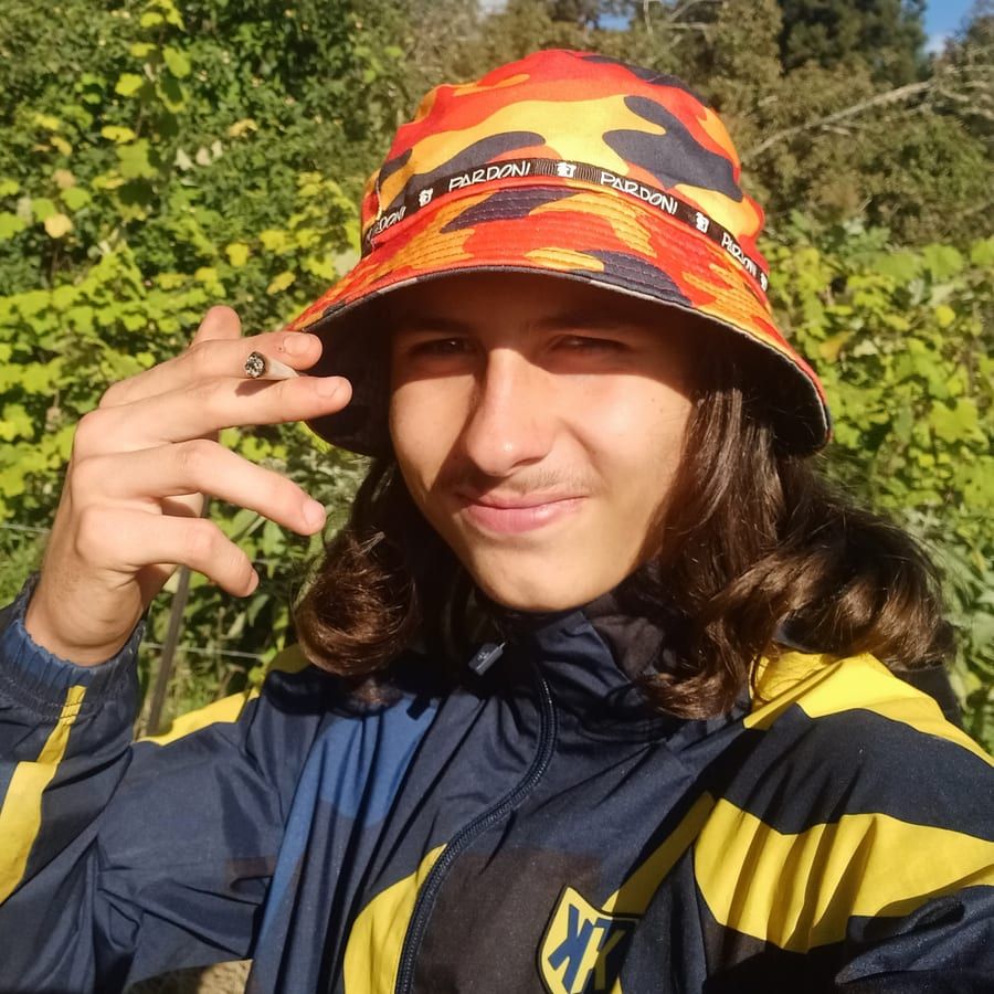 Profil de Ancel
