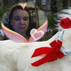 Profil de Elham